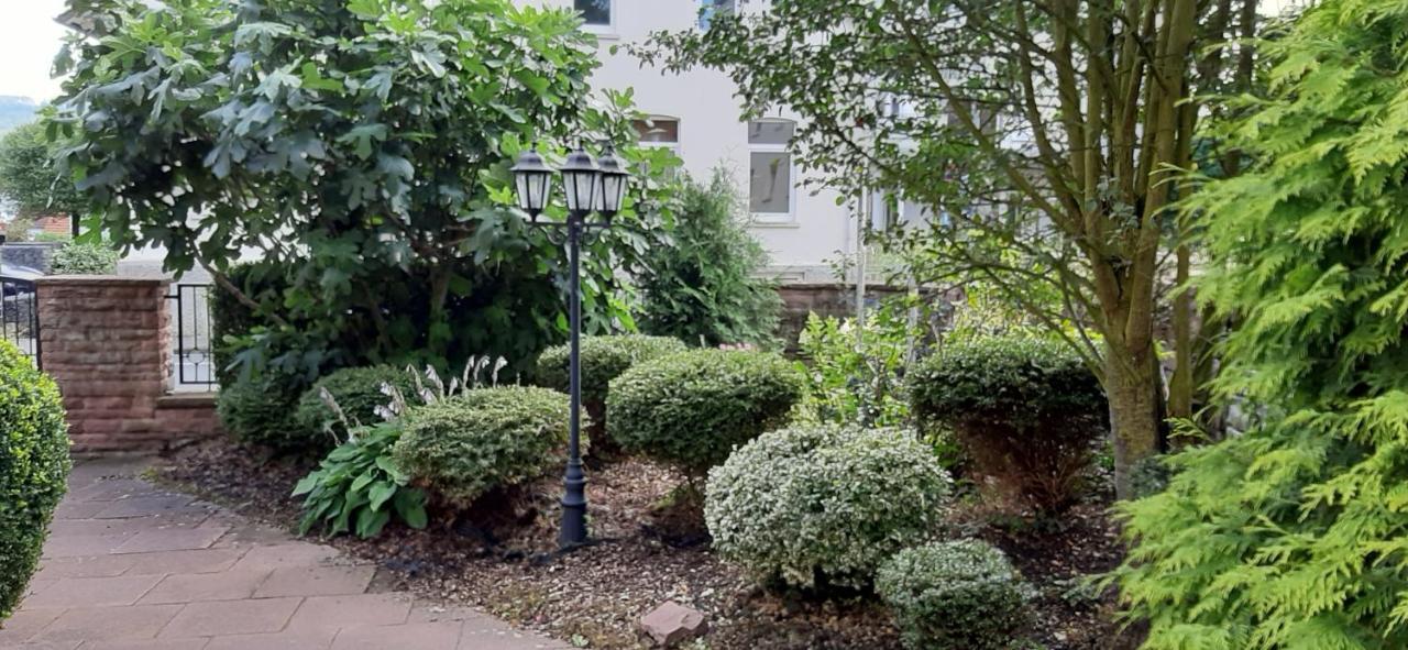 Hotel Carolinenhof Bad Pyrmont Dış mekan fotoğraf
