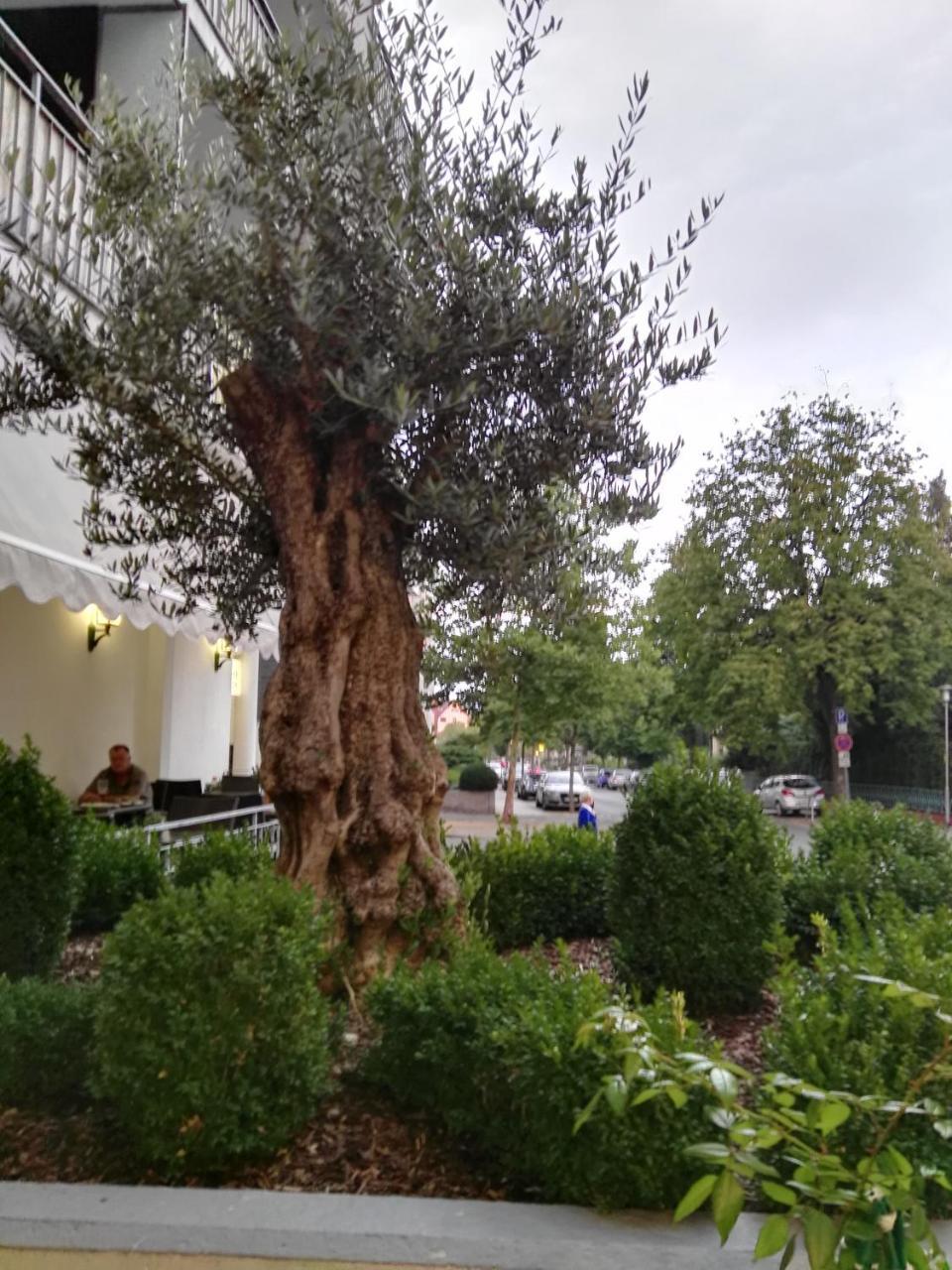 Hotel Carolinenhof Bad Pyrmont Dış mekan fotoğraf